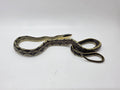 SD26-VBB-007 Vietnamese Blue Beauty Snake