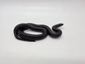 SD26-MBK-029 Mexican Black Kingsnake