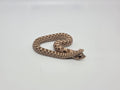 SD26-HOG-060 Plains Hognose