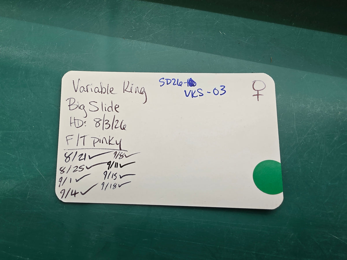SD26-VKS-003 Variable Kingsnake