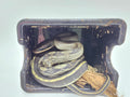 SD26-VBB-008 Vietnamese Blue Beauty Snake