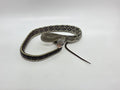 SD26-VBB-021 Vietnamese Blue Beauty Snake