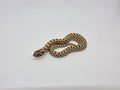 SD26-HOG-045 Plains Hognose
