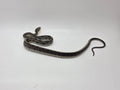 SD26-VBB-006 Vietnamese Blue Beauty Snake
