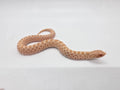SD26-HOG-111 Plains Hognose