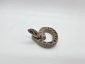 SD26-HOG-152 Plains Hognose